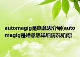 automagig是啥意思介绍(automagig是啥意思详细情况如何)