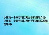 小伴龙一个账号可以两台手机用吗介绍(小伴龙一个账号可以两台手机用吗详细情况如何)