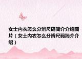 女士内衣怎么分辨尺码简介介绍图片（女士内衣怎么分辨尺码简介介绍）