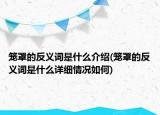 笼罩的反义词是什么介绍(笼罩的反义词是什么详细情况如何)