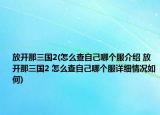 放开那三国2(怎么查自己哪个服介绍 放开那三国2 怎么查自己哪个服详细情况如何)