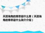 天涯海角的意思是什么意（天涯海角的意思是什么简介介绍）