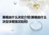 振幅由什么决定介绍(振幅由什么决定详细情况如何)