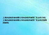 上海自动化仪表有限公司自动化仪表四厂怎么样介绍(上海自动化仪表有限公司自动化仪表四厂怎么样详细情况如何)