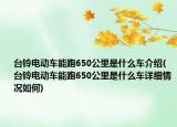 台铃电动车能跑650公里是什么车介绍(台铃电动车能跑650公里是什么车详细情况如何)