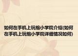 如何在手机上玩缩小学院介绍(如何在手机上玩缩小学院详细情况如何)