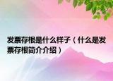 发票存根是什么样子（什么是发票存根简介介绍）