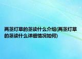 两茎灯草的茎读什么介绍(两茎灯草的茎读什么详细情况如何)