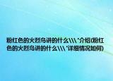 粉红色的火烈鸟讲的什么\