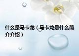 什么是马卡龙（马卡龙是什么简介介绍）
