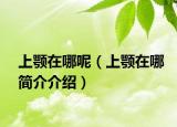 上颚在哪呢（上颚在哪简介介绍）