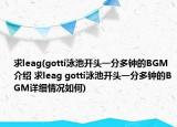 求leag(gotti泳池开头一分多钟的BGM介绍 求leag gotti泳池开头一分多钟的BGM详细情况如何)