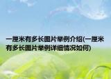 一厘米有多长图片举例介绍(一厘米有多长图片举例详细情况如何)
