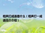 相声打成语是什么（相声打一成语简介介绍）