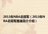 2013年NBA总冠军（2013年NBA总冠军是谁简介介绍）