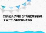 刘表的儿子叫什么?介绍(刘表的儿子叫什么?详细情况如何)