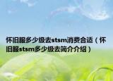 怀旧服多少级去stsm消费合适（怀旧服stsm多少级去简介介绍）