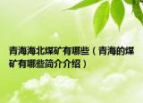 青海海北煤矿有哪些（青海的煤矿有哪些简介介绍）