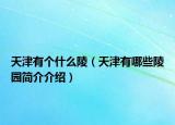 天津有个什么陵（天津有哪些陵园简介介绍）