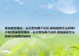 我家的玫瑰花一朵花里有两个花芯,谁知道是怎么回事?介绍(我家的玫瑰花一朵花里有两个花芯,谁知道是怎么回事?详细情况如何)