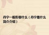 丹宁一般形容什么（丹宁是什么简介介绍）