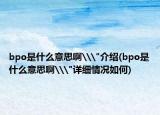 bpo是什么意思啊\