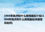 1986年属虎和什么属相最配介绍(1986年属虎和什么属相最配详细情况如何)