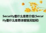Security是什么意思介绍(Security是什么意思详细情况如何)