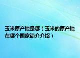 玉米原产地是哪（玉米的原产地在哪个国家简介介绍）