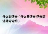 什么叫还音（什么是还音 还音简述简介介绍）