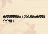 电费哪里缴纳（怎么缴纳电费简介介绍）