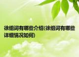 徐组词有哪些介绍(徐组词有哪些详细情况如何)