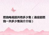 燃烧电视剧共有多少集（连续剧燃烧一共多少集简介介绍）