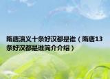 隋唐演义十条好汉都是谁（隋唐13条好汉都是谁简介介绍）