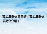 双11是什么节日呀（双11是什么节简介介绍）