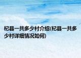 杞县一共多少村介绍(杞县一共多少村详细情况如何)