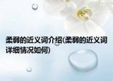 柔弱的近义词介绍(柔弱的近义词详细情况如何)