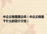 中企云链是国企吗（中企云链是干什么的简介介绍）