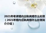 2021年老婆婚内出轨离婚怎么处理（2021年婚内出轨离婚怎么处理简介介绍）