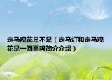 走马观花是不是（走马灯和走马观花是一回事吗简介介绍）