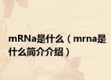 mRNa是什么（mrna是什么简介介绍）