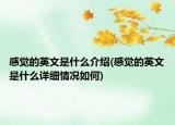 感觉的英文是什么介绍(感觉的英文是什么详细情况如何)