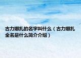 古力娜扎的名字叫什么（古力娜扎全名是什么简介介绍）