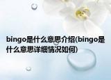 bingo是什么意思介绍(bingo是什么意思详细情况如何)