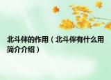 北斗伴的作用（北斗伴有什么用简介介绍）