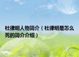 杜律明人物简介（杜律明是怎么死的简介介绍）