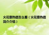 火花塞热值怎么看（火花塞热值简介介绍）