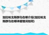加拉帕戈斯群岛在哪介绍(加拉帕戈斯群岛在哪详细情况如何)