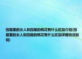 围屋里的女人和围屋的桃花有什么区别介绍(围屋里的女人和围屋的桃花有什么区别详细情况如何)