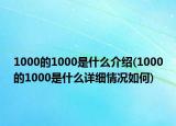 1000的1000是什么介绍(1000的1000是什么详细情况如何)